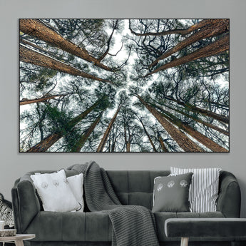 18790-MGV-CV-36X24-Pine Canopy Wall Art – Panoramic View of Towering Pines Canvas Print, Nature-Inspired Decor for Office, Cabin or Living Room