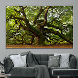 29407-MGV-CV-36X24-Ancient Oak Tree Wall Art – Majestic Nature Canvas Print, Large Tree Photography Decor for Living Room or Office