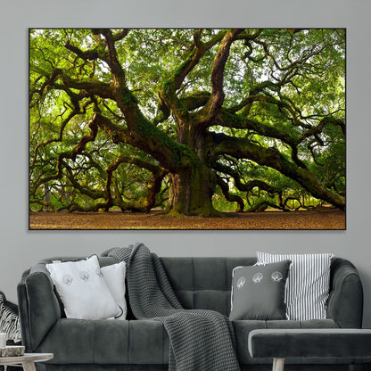 29407-MGV-CV-36X24-Ancient Oak Tree Wall Art – Majestic Nature Canvas Print, Large Tree Photography Decor for Living Room or Office