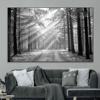 39665-MGV-CV-36X24-Black and White Forest Path Wall Art – Sunlight Rays in Trees Canvas Print, Nature Landscape Decor for Living Room