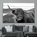 83810-MGV-CV-36X24-Highland Cow Wall Art – Black and White Highland Cattle Print, Rustic Farmhouse Animal Decor for Living Room or Office