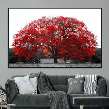 80021-SEG-FC-51X34_Oversize_Oversize-Red Tree Wall Art – Striking Black and White Landscape Canvas Print with Vibrant Red Leaves, Modern Nature Decor for Living Room