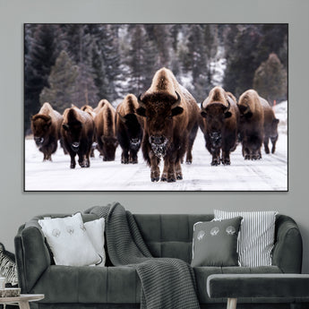 66871-MGV-CV-36X24-Bison Herd Wall Art – Wildlife Buffalo Canvas Print, Rustic Western Nature Photography Decor for Living Room, Office, Cabin, or