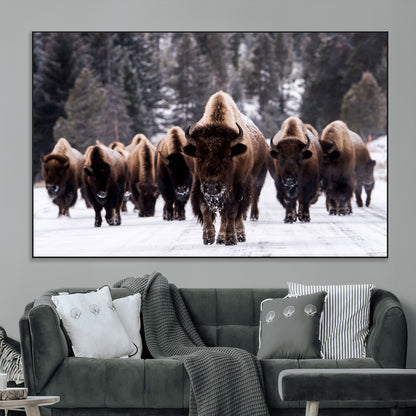 66871-MGV-CV-36X24-Bison Herd Wall Art – Wildlife Buffalo Canvas Print, Rustic Western Nature Photography Decor for Living Room, Office, Cabin, or