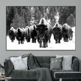 62434-MGV-CV-36X24-Bison Herd Wall Art – Majestic Black and White Buffalo Canvas Print, Wildlife Nature Photography Decor for Living Room, Office or
