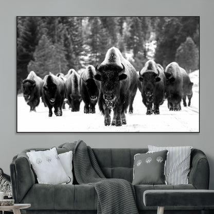 62434-MGV-CV-36X24-Bison Herd Wall Art – Majestic Black and White Buffalo Canvas Print, Wildlife Nature Photography Decor for Living Room, Office or