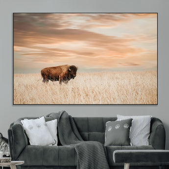 99699-MGV-CV-36X24-Bison in Prairie at Sunset – Wildlife Photography Print, American Buffalo Wall Art, Nature Landscape Canvas Decor for Office