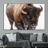 65605-MGV-CV-36X24-Snow Bison Wall Art – Close Up Buffalo Canvas Print, Rustic Western Wildlife Photography, Farmhouse Cabin Lodge Decor for Living