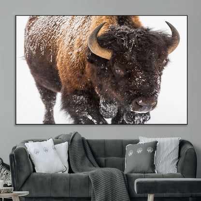 65605-MGV-CV-36X24-Snow Bison Wall Art – Close Up Buffalo Canvas Print, Rustic Western Wildlife Photography, Farmhouse Cabin Lodge Decor for Living