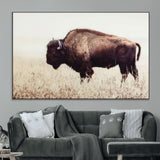 48406-MGV-CV-36X24-American Bison Wall Art – Rustic Buffalo Canvas Print in Prairie Field, Western Wildlife Photography Decor for Cabin, Lodge,