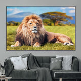 67826-SEG-FC-51X34_Oversize_Oversize-Majestic Lion Wall Art – King of the Jungle Canvas Print, Safari Wildlife Decor for Living Room, Office, or Man Cave