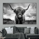 17924-MGV-CV-36X24-Highland Cow Wall Art – Black and White Rustic Longhorn Cattle Canvas Print, Farmhouse Animal Photography Decor for Country Home