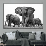 91685-MGV-CV-36X24-Elephant Herd Wall Art – Black and White Safari Canvas Print, African Wildlife Photography Decor for Living Room, Office or