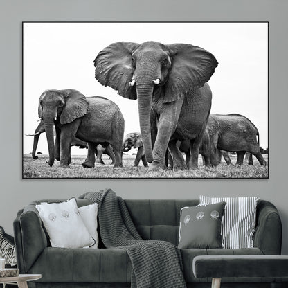 91685-MGV-CV-36X24-Elephant Herd Wall Art – Black and White Safari Canvas Print, African Wildlife Photography Decor for Living Room, Office or
