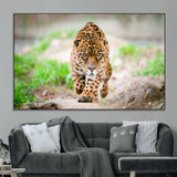 75066-MGV-CV-36X24-Leopard Wall Art Canvas Print, Framed Wild Animal Art Picture Print, Blue Eye Leopard Perfect Wild Minimal Decor Artwork