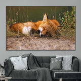 25085-MGV-CV-36X24-Sleeping Fox Wall Art Canvas Print, Framed Rustic Fox Art Picture Print, Wildlife Animal Perfect Rustic Farmhouse Decor Artwork