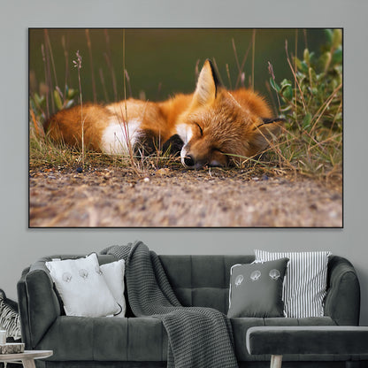 25085-MGV-CV-36X24-Sleeping Fox Wall Art Canvas Print, Framed Rustic Fox Art Picture Print, Wildlife Animal Perfect Rustic Farmhouse Decor Artwork