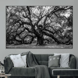 132944706-MGV-CV-36X24-Ancient Tree Wall Art – Black and White Photography Canvas Print Featuring Majestic Twisting Branches, Rustic Nature Artwork for