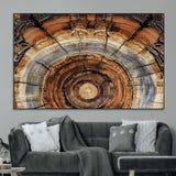 15184146-MGV-CV-36X24-Tree Rings Wall Art Canvas Print, Framed Wood Texture Art Picture Print, Rustic Pattern Perfect Rustic Organic Decor Artwork