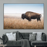 91267849-MGV-CV-36X24-Wild Bison Wall Art Canvas Print, Framed Bison in Prairie Art Picture Print, Rustic Western Perfect Rustic Western Decor Artwork