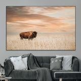 87282289-MGV-CV-36X24-Bison Wall Art Canvas Print, Framed Buffalo Art Picture Print, Western Prairie Perfect Rustic Decor Artwork