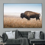 99620201-MGV-CV-36X24-Wild Bison Wall Art Canvas Print, Framed Bison in Prairie Art Picture Print, Rustic Western Perfect Rustic Western Decor Artwork