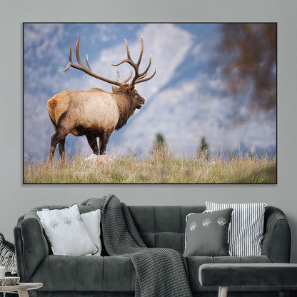 26365841-MGV-CV-36X24-Mountain Elk Art Wall Art Canvas Print, Framed Rustic Wildlife Print Art Picture Print, Lodge Style Decor Perfect Rustic Lodge