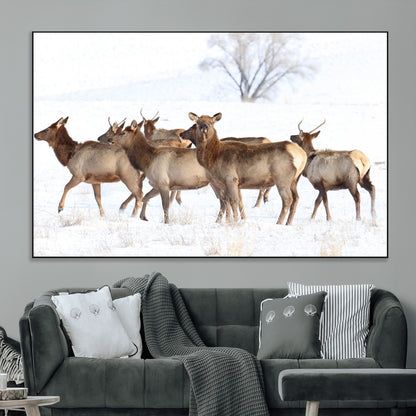 68738684-SEG-FC-51X34_Oversize_Oversize-Winter Elk Scene Wall Art Canvas Print, Framed Wildlife Photography Art Picture Print, Snowy Deer Decor Perfect Rustic Lodge Decor