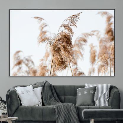 17019393-MGV-CV-36X24-Pampas Grass Wall Art Canvas Print, Framed Neutral Tones Art Picture Print, Minimalist Nature Perfect Boho Minimalist Decor