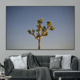 54552043-MGV-CV-36X24-Joshua Tree Art Wall Art Canvas Print, Framed Desert Landscape Art Picture Print, Southwestern Nature Perfect Southwestern Boho