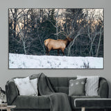 36533178-MGV-CV-36X24-Wild Elk Photography Wall Art Canvas Print, Framed Winter Wildlife Art Picture Print, Snowy Forest Perfect Rustic Lodge Decor