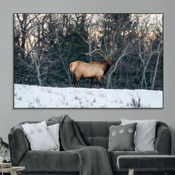 36533178-MGV-CV-36X24-Wild Elk Photography Wall Art Canvas Print, Framed Winter Wildlife Art Picture Print, Snowy Forest Perfect Rustic Lodge Decor