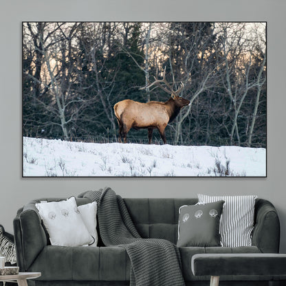 36533178-MGV-CV-36X24-Wild Elk Photography Wall Art Canvas Print, Framed Winter Wildlife Art Picture Print, Snowy Forest Perfect Rustic Lodge Decor