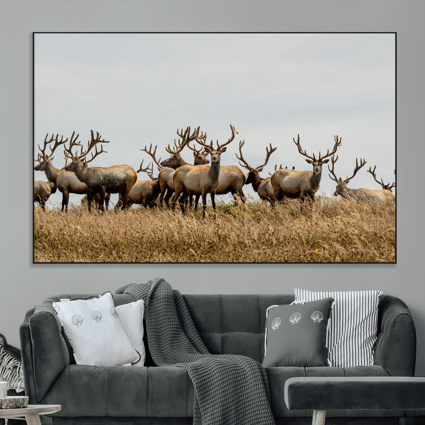 42170220-MGV-CV-36X24-Elk Herd Wall Art Canvas Print, Framed Wildlife Photography Art Picture Print, Majestic Antlers Perfect Rustic Wildlife Decor