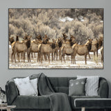 93076148-MGV-CV-36X24-Elk Herd Wall Art – Wildlife Canvas Print of Elk in Winter Landscape, Rustic Western Cabin & Lodge Décor, Nature Photography for