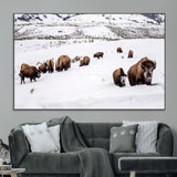 38217250-MGV-CV-36X24-Bison Herd Wall Art – Wildlife Canvas Print of Buffalo Winter Snow Scene, Rustic Western Lodge Décor, Farmhouse & Cabin Nature