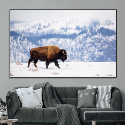 21623194-MGV-CV-36X24-Snow Bison Wall Art – Majestic Buffalo Wildlife Canvas Print, Winter Nature Décor for Rustic Living Room, Farmhouse, Cabin, Lodge