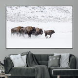 61161423-MGV-CV-36X24-Running Bison Herd Wall Art – Winter Buffalo Canvas Print, Wildlife Photography Decor for Rustic Living Room, Farmhouse, Lodge,