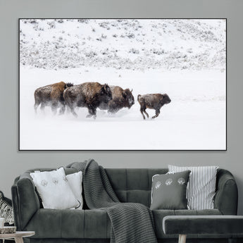 61161423-MGV-CV-36X24-Running Bison Herd Wall Art – Winter Buffalo Canvas Print, Wildlife Photography Decor for Rustic Living Room, Farmhouse, Lodge,