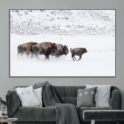 61161423-MGV-CV-36X24-Running Bison Herd Wall Art – Winter Buffalo Canvas Print, Wildlife Photography Decor for Rustic Living Room, Farmhouse, Lodge,