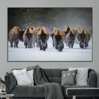 30332489-MGV-CV-36X24-Winter Bison Herd Wall Art – Powerful Buffalo Canvas Print, Rustic Wildlife Photography Decor for Farmhouse, Cabin, Lodge, Living