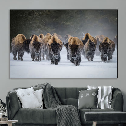 30332489-MGV-CV-36X24-Winter Bison Herd Wall Art – Powerful Buffalo Canvas Print, Rustic Wildlife Photography Decor for Farmhouse, Cabin, Lodge, Living