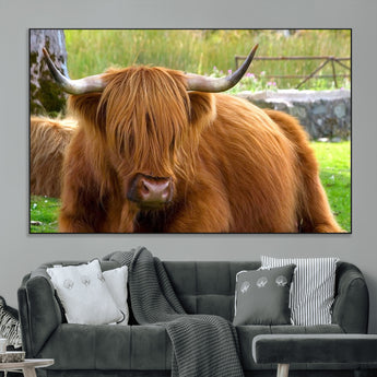 68411138-MGV-CV-36X24-Farmhouse Wall Art – Highland Cow Canvas Print, Rustic Country Cattle Photography Decor for Bedroom, Living Room, Office, Ranch,