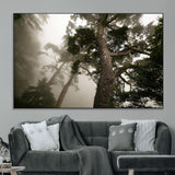 87969493-MGV-CV-36X24-Forest Wall Art – Misty Tall Trees Canvas Print, Dramatic Woodland Photography Decor for Bedroom, Living Room, Office, Cabin,