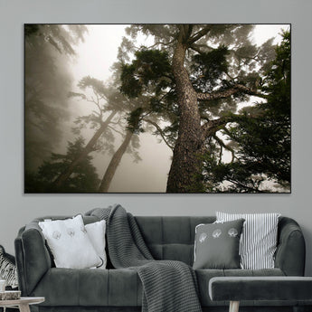 87969493-MGV-CV-36X24-Forest Wall Art – Misty Tall Trees Canvas Print, Dramatic Woodland Photography Decor for Bedroom, Living Room, Office, Cabin,