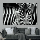 43631-MGV-CV-36X24-Zebra Wall Art – Black & White Safari Wildlife Canvas Print, Modern Animal Photography Decor for Living Room, Office, or Bedroom