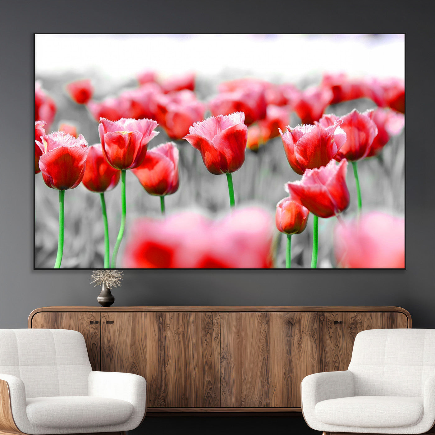 44554-MGV-CV-36X24-Vibrant red tulips stand out beautifully against a black-and-white background, making a striking decor piece perfect for any home