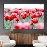 44554-MGV-CV-36X24-Vibrant red tulips stand out beautifully against a black-and-white background, making a striking decor piece perfect for any home