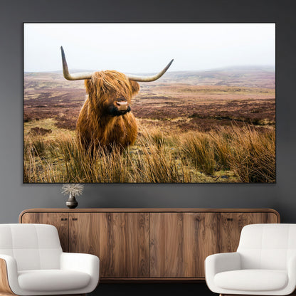 79391-MGV-CV-36X24-Majestic Highland Cow in Misty Scottish Moorland – Rustic Natural Charm, Perfect for Unique Home or Office Decor