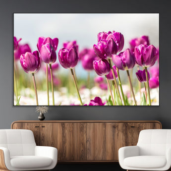 30632-MGV-CV-36X24-Purple Tulip Field Wall Art – Beautiful Spring Flowers Canvas Print with Soft Focus and Bright Sky, Ideal Floral Decor for Home or